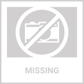 Petsafe Deluxe Ultralight Collar (Refurb) - Pul-275-R
