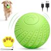 Interactive Dog Ball Toy with Remote Control – Silent Motion Activated Rolling & Bouncing