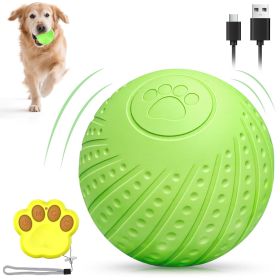 Interactive Dog Ball Toy with Remote Control – Silent Motion Activated Rolling & Bouncing