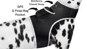 NEW Collar Mini Surveillance Water Resistant Mini GPS GSM Pet Tracker Size:L