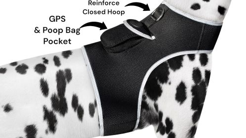 NEW Collar Mini Surveillance Water Resistant Mini GPS GSM Pet Tracker Size:L