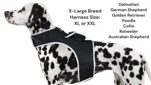 Movement Triggered GPS Tracking Pets Collar Tracker Rechargeable Tool Size:L