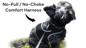 Mini Waterproof GPS Cat Tracking Collar Mount Rechargeable Pet Tracker Size:L