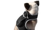 Mini Portable GPS GSM Pet Collar Tracker USB Rechargeable Waterproof Size:L