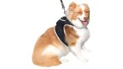 Mini Waterproof GPS Tracker for Dog Collar w/ Perimeter Fencing System Size:L