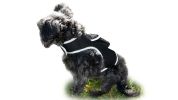NEW Collar Mini Surveillance Water Resistant Mini GPS GSM Pet Tracker Size:L