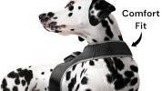 Mini Long Term Rechargeable GPS Dog Collar Tracking Device Waterproof Size:L