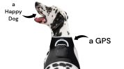 Mini Rechargeable GSM GPS Tracking Dog Collar Device Portable Locator Size:L