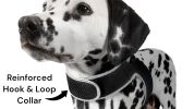 NEW GPS Animal Tracking Mini GPS Waterproof Pet Collar Mount Tracker Size:L