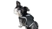Mini Realtime GPS Collar Pet Tracker Wireless Exact GSM GPRS Tracking Size:L
