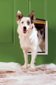 Petsafe Extreme Weather Plastic Frame Dog & Cat Door - Medium - Ppa00-10985