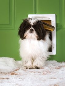 Petsafe Extreme Weather Plastic Frame Dog & Cat Door - Small - Ppa00-10984