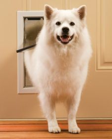 Petsafe Freedom Pet Door - Medium - Ppa00-10860