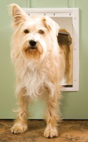 Petsafe Plastic Dog Door - Medium - Ppa00-10959